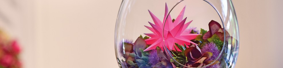 Endecken Sie hier unsere Herrnhuter Sterne Besonderheiten